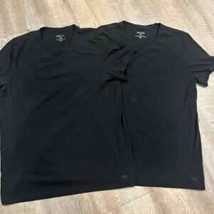 Rhone V Neck Element T-Shirt Mens Bundle of 2